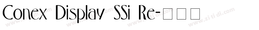 Conex Display SSi Re字体转换